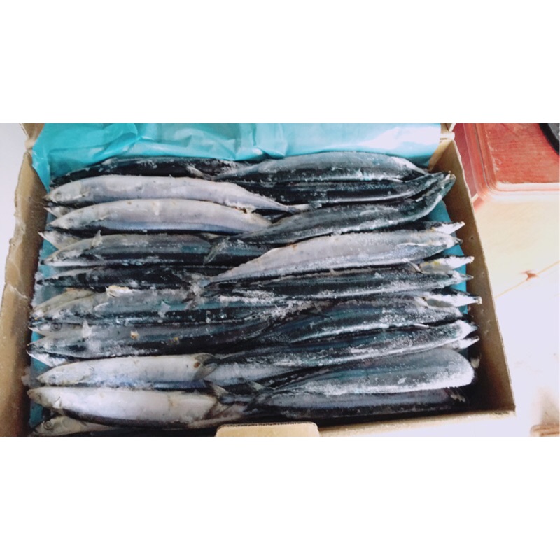 1號秋刀魚 1件 10kg 蝦皮購物