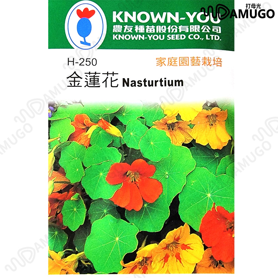 香藥草種子 旱金蓮香草種子種子農友種子農友金蓮花 蝦皮購物