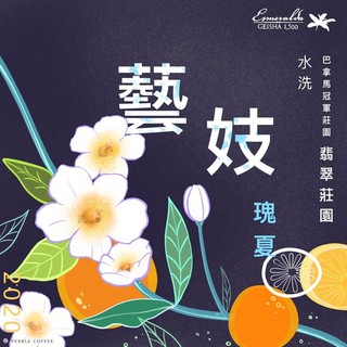 豆桑生豆｜新產季 巴拿馬 巨石莊園 藍標 水洗 藝妓 衣索比亞 瑰夏村 日曬 金猴藝妓 生豆500g裝