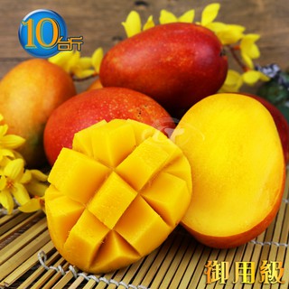 風之果 枋山御用級濃甜43年老欉愛文芒果禮盒10臺斤(15-17顆入)