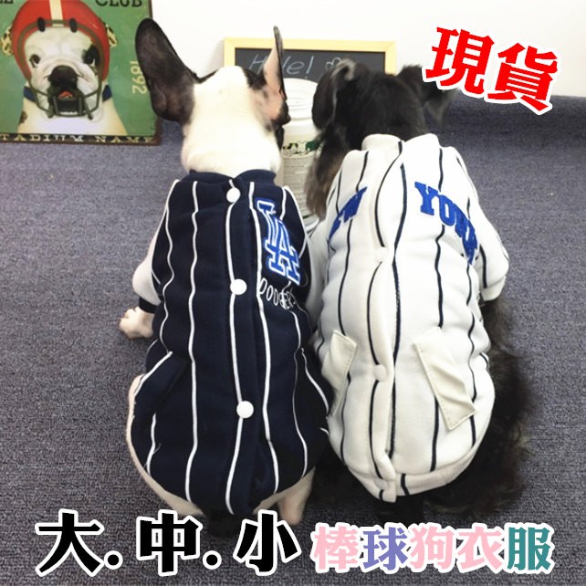 台灣犬棒球的價格推薦 21年10月 比價比個夠biggo