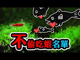 AC草影水族, 線上商店 蝦皮購物