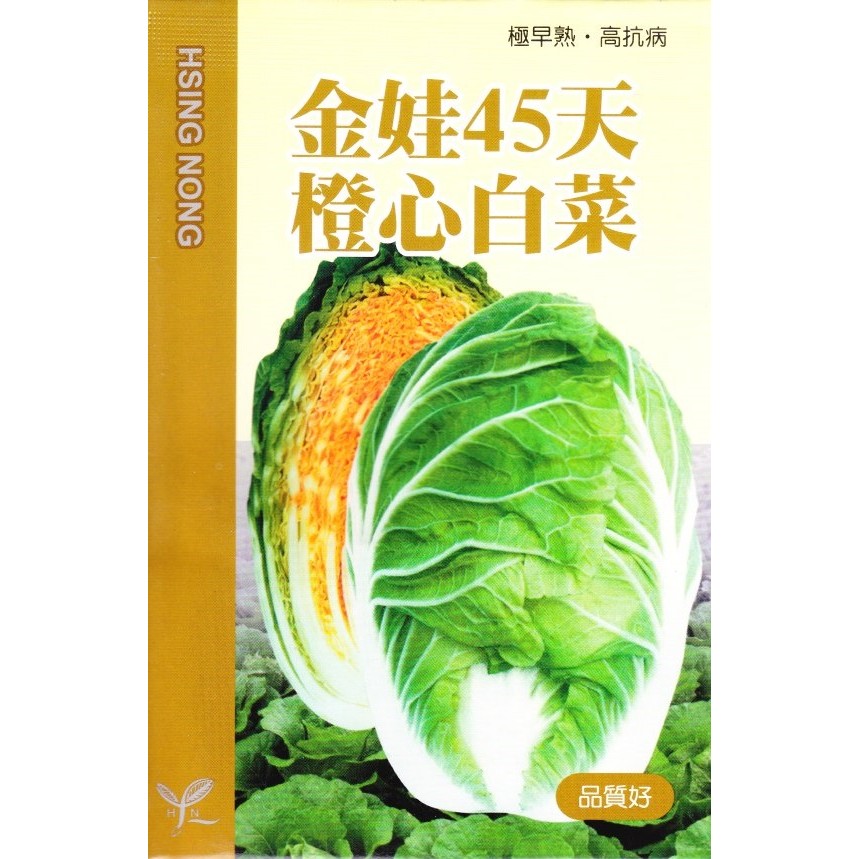 種子王國 橙心白菜(金娃45天．大白菜) 【白菜類種子】興農牌中包裝 每包約1公克
