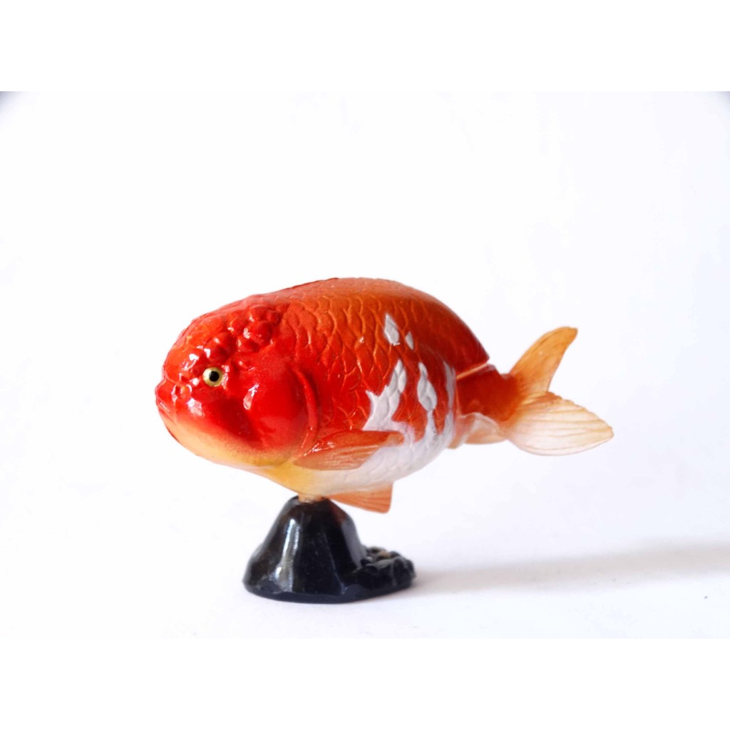 A 218 櫃現況品 海洋堂furuta 寵物動物collection 第1彈更紗蘭壽金魚富貴玩具店 蝦皮購物