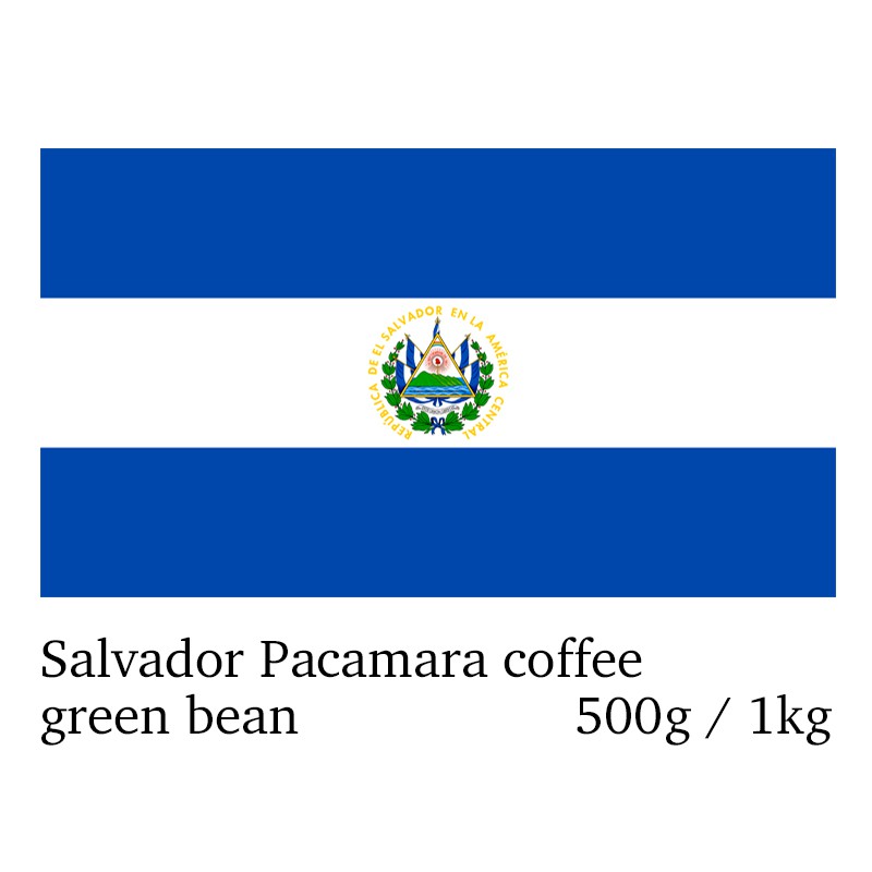 精選薩爾瓦多 帕卡瑪拉 蜜處理咖啡生豆 500g / 1kg