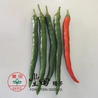 【萌田種子~】M19 紅美辣椒種子10粒 , 結果力強 , 可做剝皮辣椒 ~