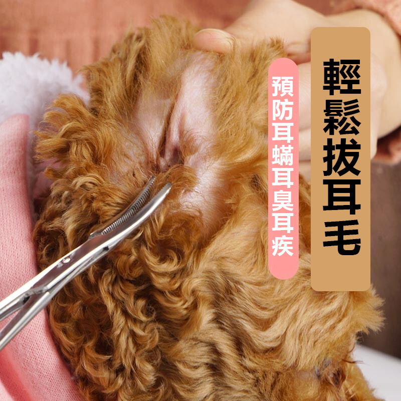 寵物吉團 狗狗貓貓清理幫手拔耳毛不銹鋼鉗子直頭鉗寵物耳朵拔毛去毛寵物掏耳神器彎頭泰迪犬貓止血鉗子寵物清潔用品