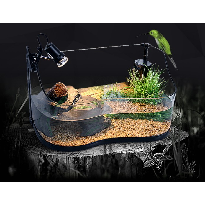 弧形玻璃烏龜缸 : 生態水陸缸 弧度線條優美 烏龜透天厝