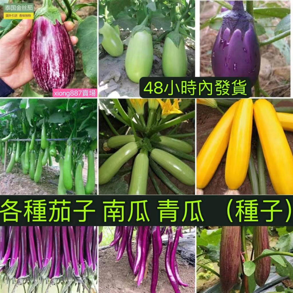 南瓜茄 優惠推薦 22年10月 蝦皮購物台灣