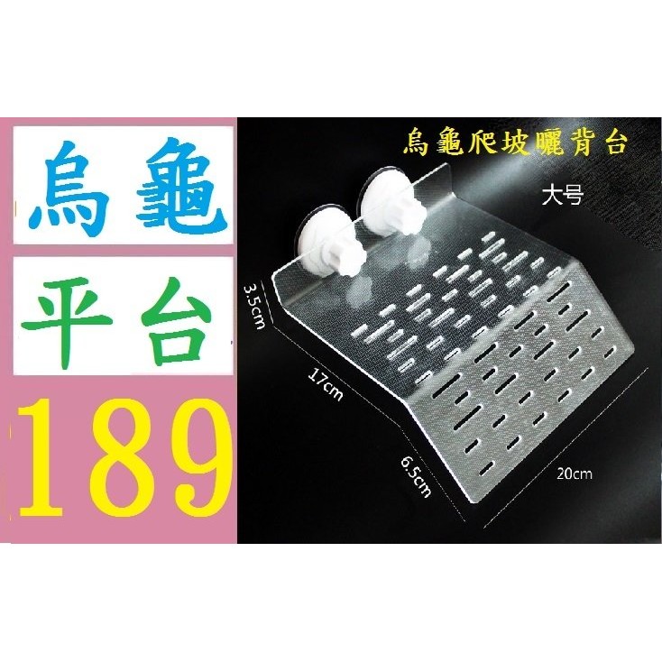 【三峽好吉市】兩棲 烏龜爬坡平台 吸盤式 烏龜島 呼吸平台 爬台 曬台 兩棲爬蟲 加熱燈 加溫燈