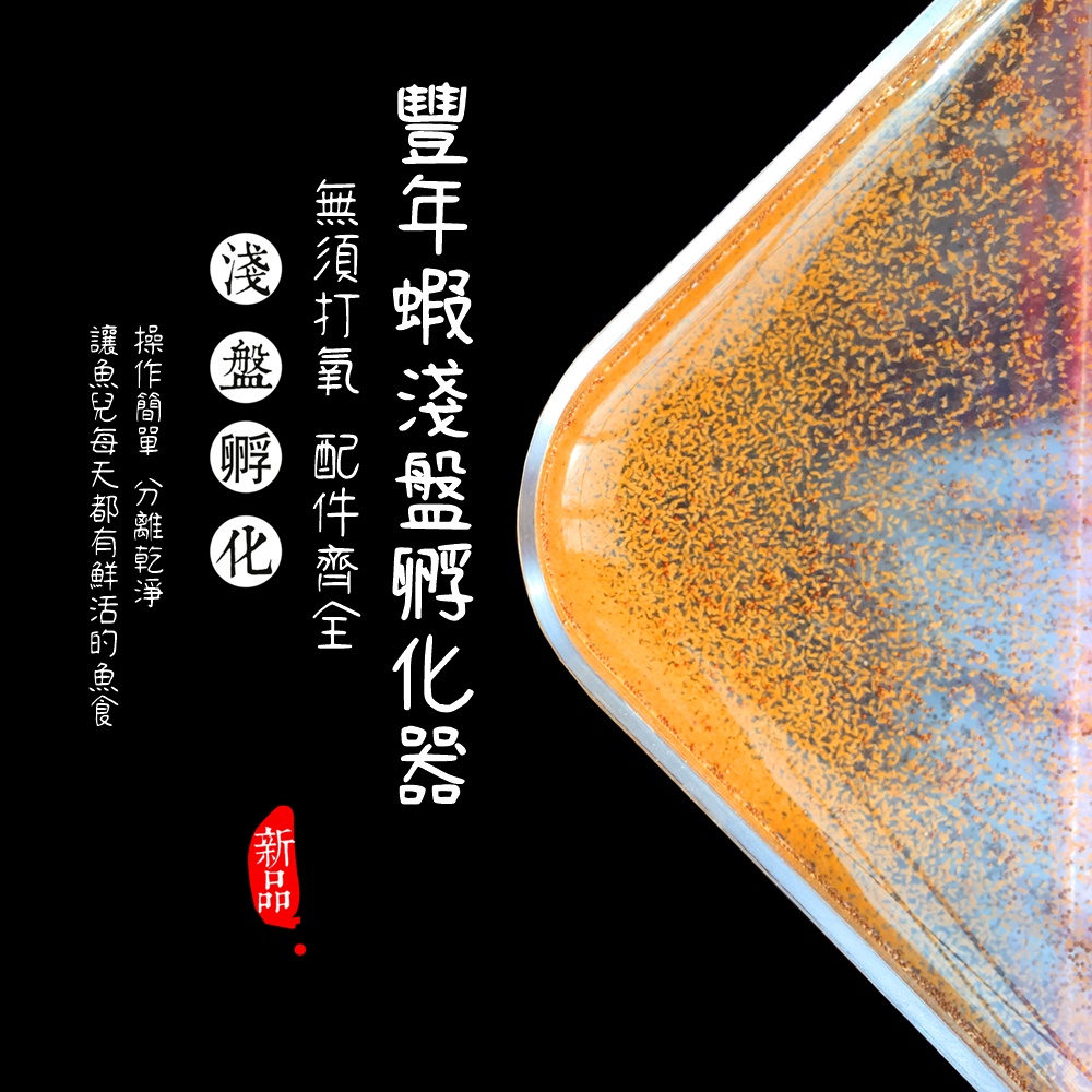 🌈現貨🧫豐年蝦淺盤孵化器套裝 方便又省錢 再加贈一個豐年蝦吸盤餵食器