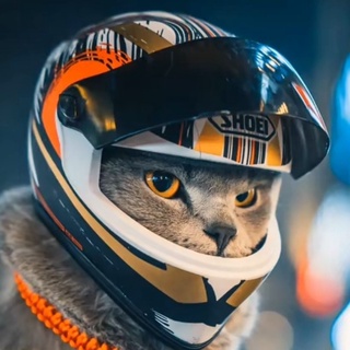 【台灣現貨 快速出貨】宠物摩托车猫猫泰迪酒吧狗头盔炫酷搞笑大眼