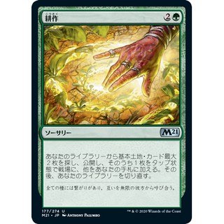 MTG 魔法風雲會 M21 核心系列2021 #177 [U] 栽培 Cultivate 耕作