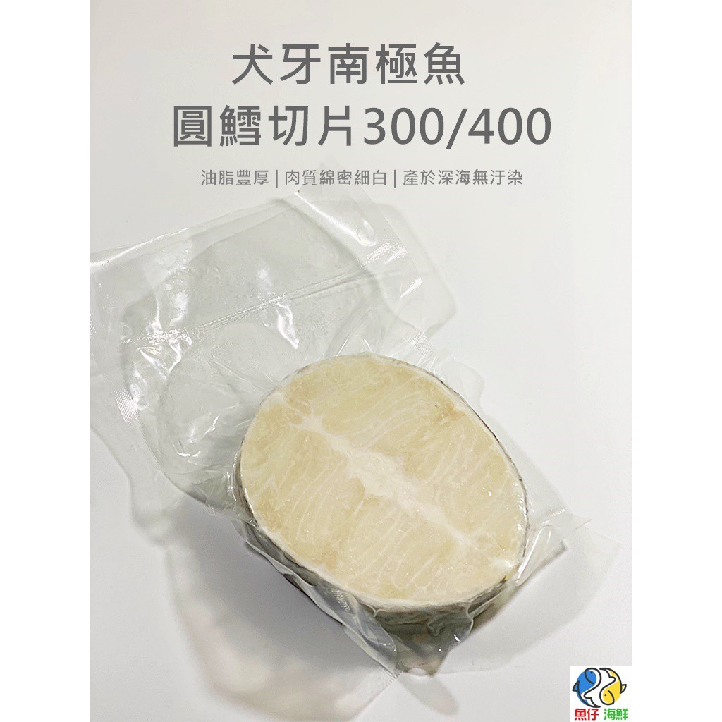 魚仔海鮮 犬牙南極魚切片 圓鱈切片 600g 滿00免運 真圓鱈 真圓鱈切片 美露鱈 南極圓鱈魚 冷凍 海鮮 蝦皮購物