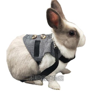 兔子牽引繩 兔子牽繩 兔兔紳士禮服兔子西服