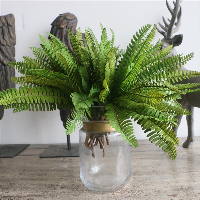 鹿角草的價格推薦第5 頁 21年8月 比價比個夠biggo