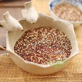 揪便宜 養生藜麥 經濟包500g 三色藜麥/紅藜麥/黑藜麥/白藜麥 藜麥