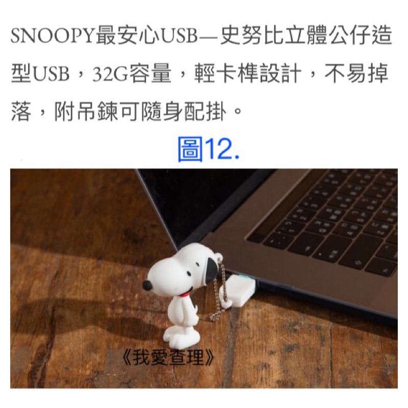 《我愛查理》 SNOOPY 康是美 史努比 漫遊生活 史奴比 最安心USB 立體公仔 造型USB USB 隨身碟 32G