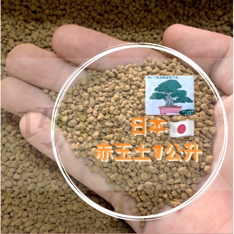 赤玉土三本線硬質小粒的價格推薦 22年4月 比價比個夠biggo