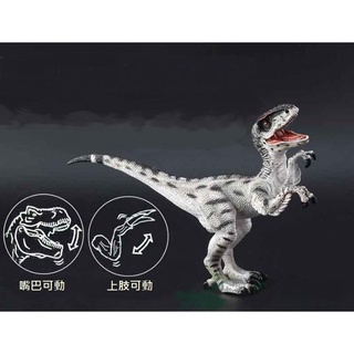 恐龍模型 迅猛龍 伶盜龍 新塗裝 非 schleich,collecta ,papo