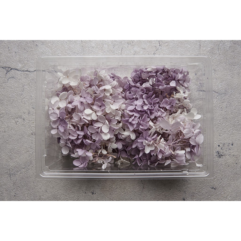 台灣現貨 永生不凋花資材 0151 3 401 日本大地農園 繡球花 不凋花 永生花 半盒 一輪 蝦皮購物