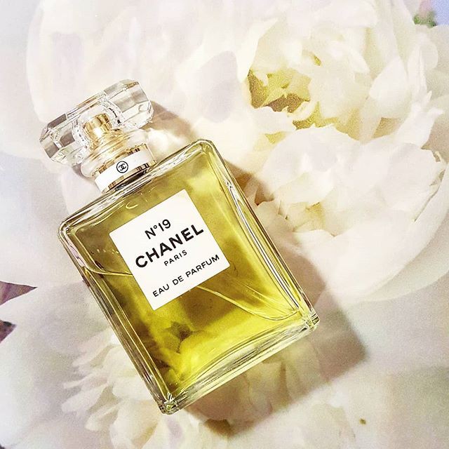 現貨英國代購 Chanel 香奈兒n 19 香水no19 19號香水淡香精poudre 輕盈迴旋版女香 蝦皮購物