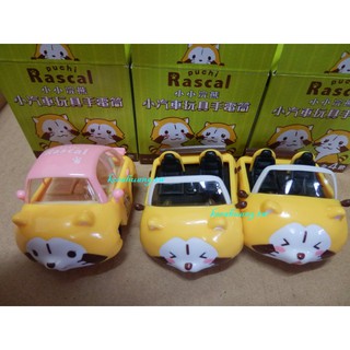 全新 小小浣熊 oachi rascal 小汽車 玩具 手電筒 粉色 歡樂款 倘篷 開心款