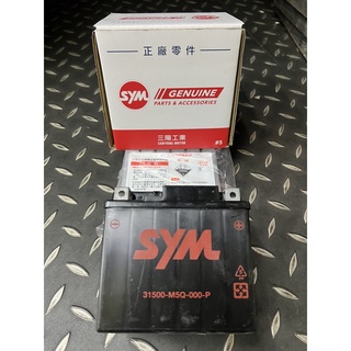 SYM 原廠電池 5號電瓶 7號電瓶 9號電瓶 10號電瓶 7B電瓶 薄型 7A 湯淺 YUASA GS統力 機車電池