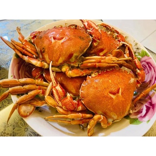 [川品] 超大牛蹄蟹 牛角蟹 黃金蟹 本港外海捕撈，4~5隻/公斤 公蟹肉多鮮美