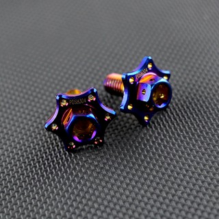 皮斯摩特 POSH | 白鐵 鍍鈦 星型大頭螺絲 車牌螺絲 大牌螺絲 牌照螺絲 星型 大頭螺絲 6X15 全車系通用