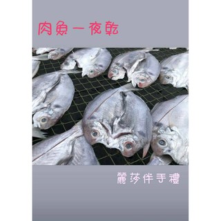 現貨【一夜乾】澎湖野生肉魚一夜乾 肉魚 一夜乾300g