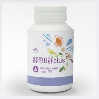 天華 代購 酵母B群plus TENHUA