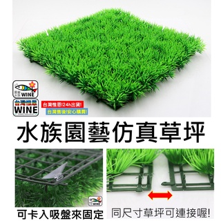 WINE臺灣惟恩 微景觀 水族 園藝 模擬草坪 水族模擬水草 水草 草 花 假花 假草 模擬草 水族 模擬水草 草坪