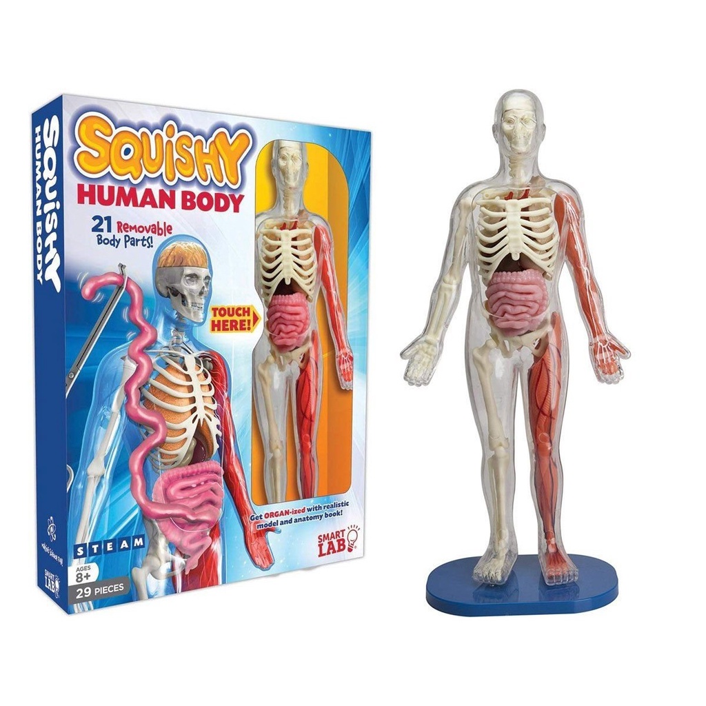 【親子天下】SmartLab 超擬真人體模型遊戲組｜官方直營