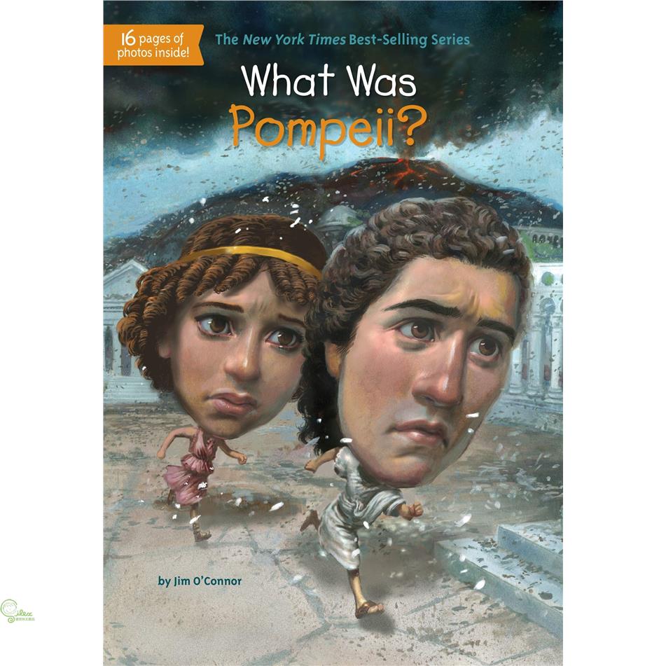 What Was Pompeii?