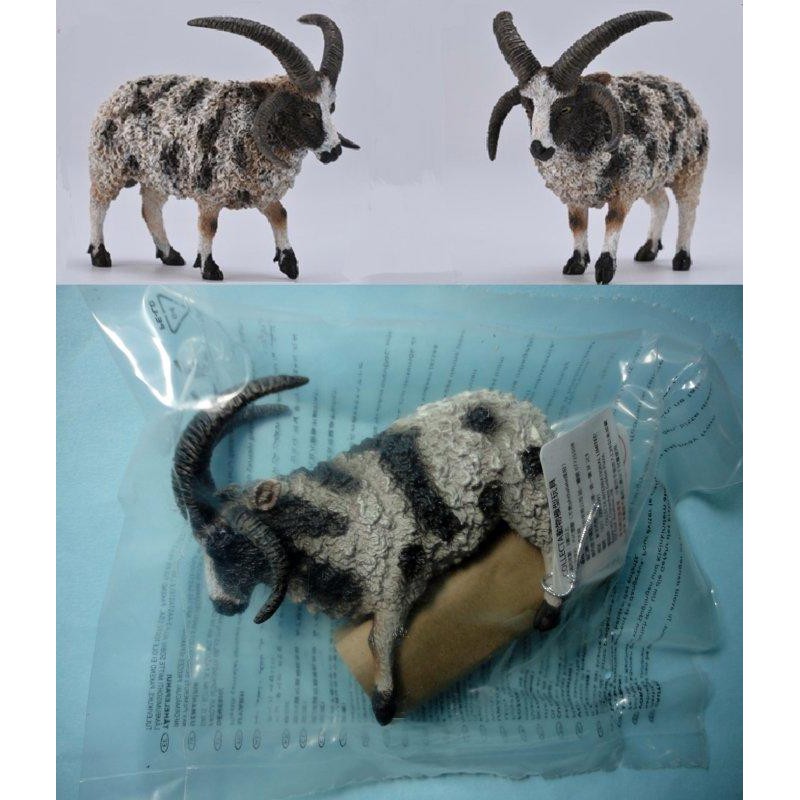 動物模型collecta 四角公羊 雅各伯綿羊 羊 蝦皮購物