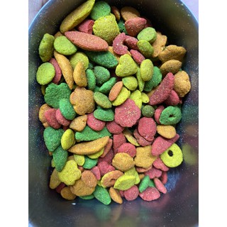 實體們是｜G14｜P15｜凡賽爾｜彩色滋養丸｜鸚鵡飼料｜鸚鵡主食｜特級鸚鵡主食｜鳥飼料｜滋養丸｜翔帥寵物生活館
