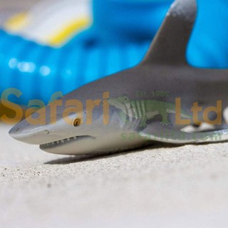 [美國Safari] 100271 遠洋白鰭鯊模型