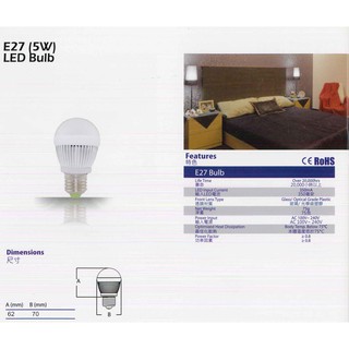 (臻亮照明)LED 5W 白光燈泡 現貨出清特賣30元 台灣製造 保固一年