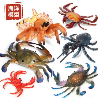 模擬海洋動物螃蟹寄居蟹帝王蟹椰子蟹奇蝦海星兒童認知模型玩具-YH