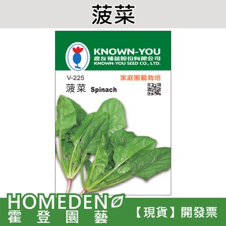 【隔日到貨】菠菜 V-225 蔬菜種子 農友牌 小包裝種子 約200粒/包【HOMEDEN霍登園藝】