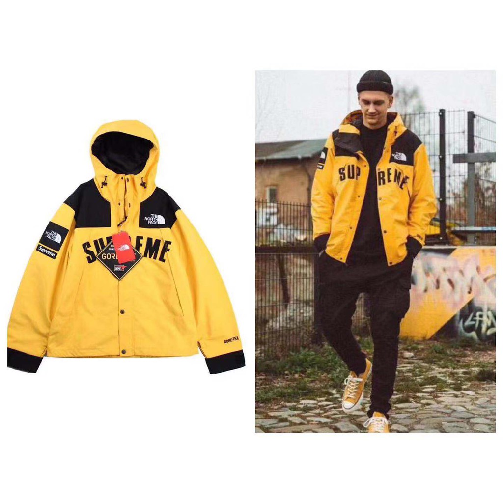 the north face 19ss