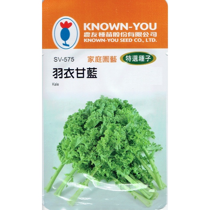 種子王國 羽衣甘藍 Kale (sv-575) 【蔬菜種子】無頭甘藍 農友種苗特選種子 每包約4公克