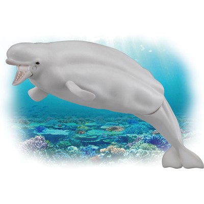 TOMY  多美動物園 ANIA 探索動物系列  AS-16 白鯨  動物模型  AN83660