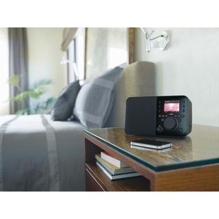 支援Spotify《台北快貨》Logitech UE Ultimate Ears Smart Radio 羅技網路收音機