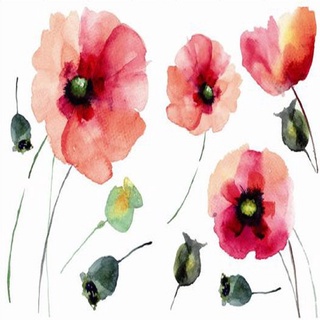 義大利進口HOME DECOR 牆壁貼飾 70cmX100cm(2圖) 芙蓉花(C81003)