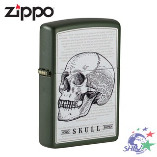 Zippo 打火機 美版 Skull Design Green Matte / 49602 / ZP681【詮國】