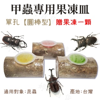 甲蟲專用果凍皿 果凍臺【單孔】圓棒型 長條狀 天然原木 鍬形蟲 獨角仙 昆蟲 婷婷百貨 金金水族