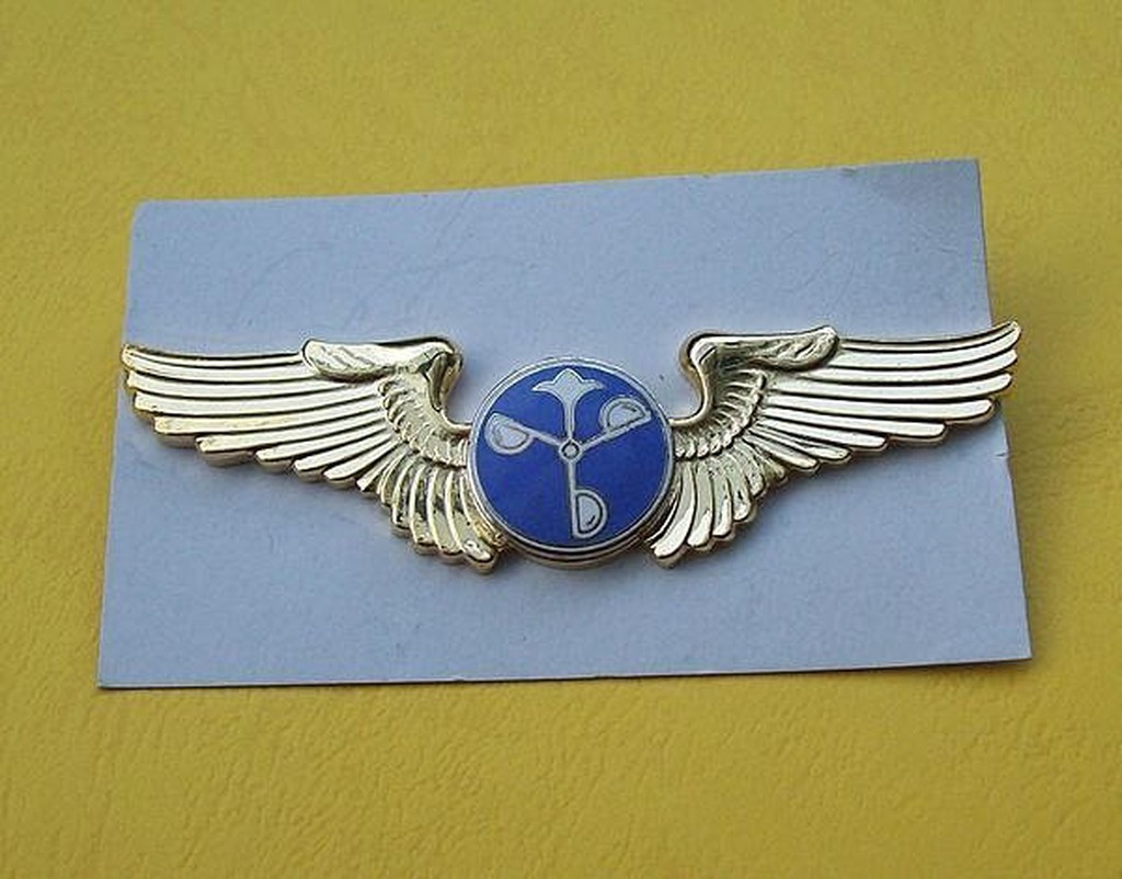 可欣台灣精品：老式空軍初級氣象飛行徽章（螺絲）