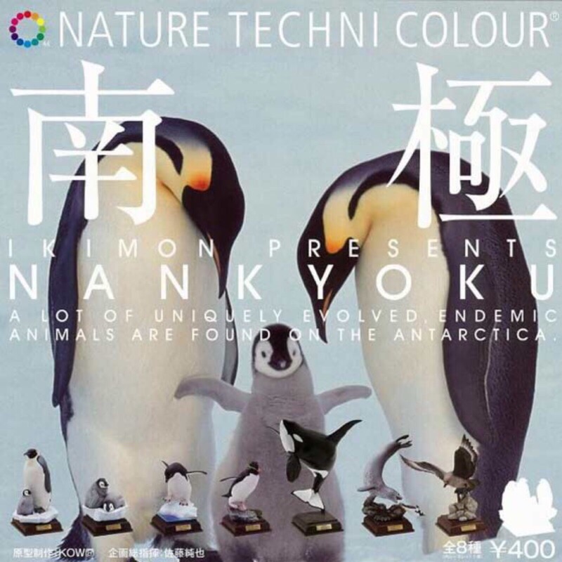 奇譚 NTC圖鑑 南極大陸生命 南極動物 南跳岩企鵝 企鵝 動物 南極系列扭蛋 企鵝扭蛋 擬真扭蛋 扭蛋 轉蛋 全新